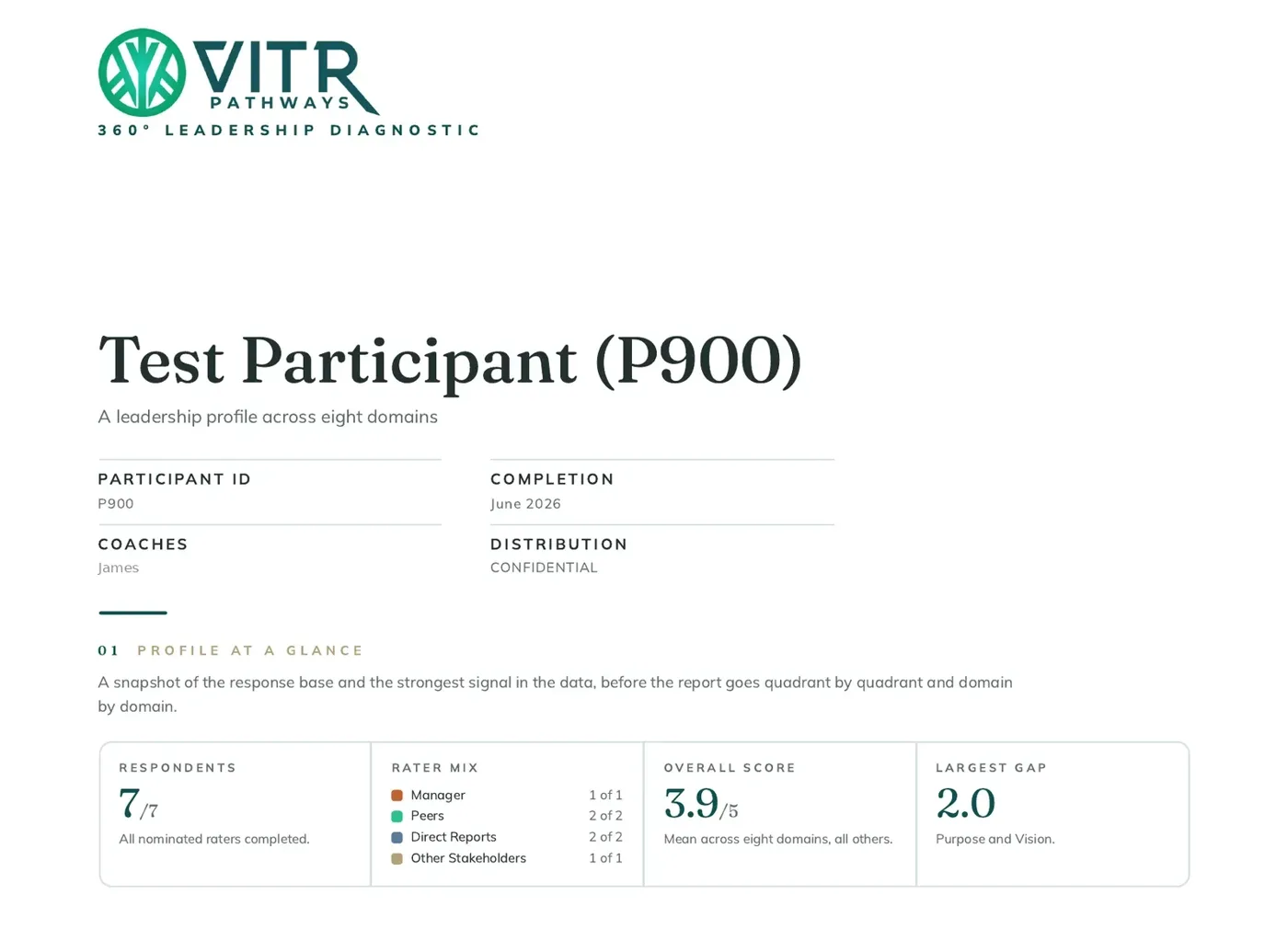 Sample page from a Vitr 360 report: profile at a glance